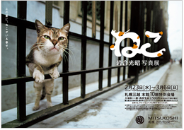 XN[Vbgi2011-03-06 14.37.33j.png