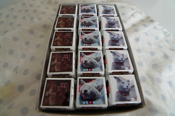 choco-1.JPG