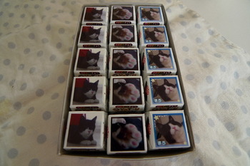 choco-3.JPG