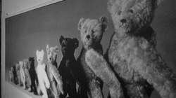 teddy-2.JPG