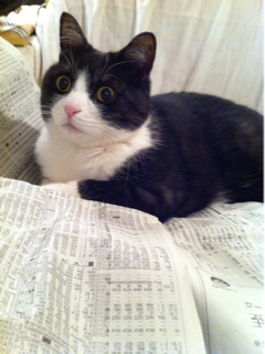 image-20110205113017.png